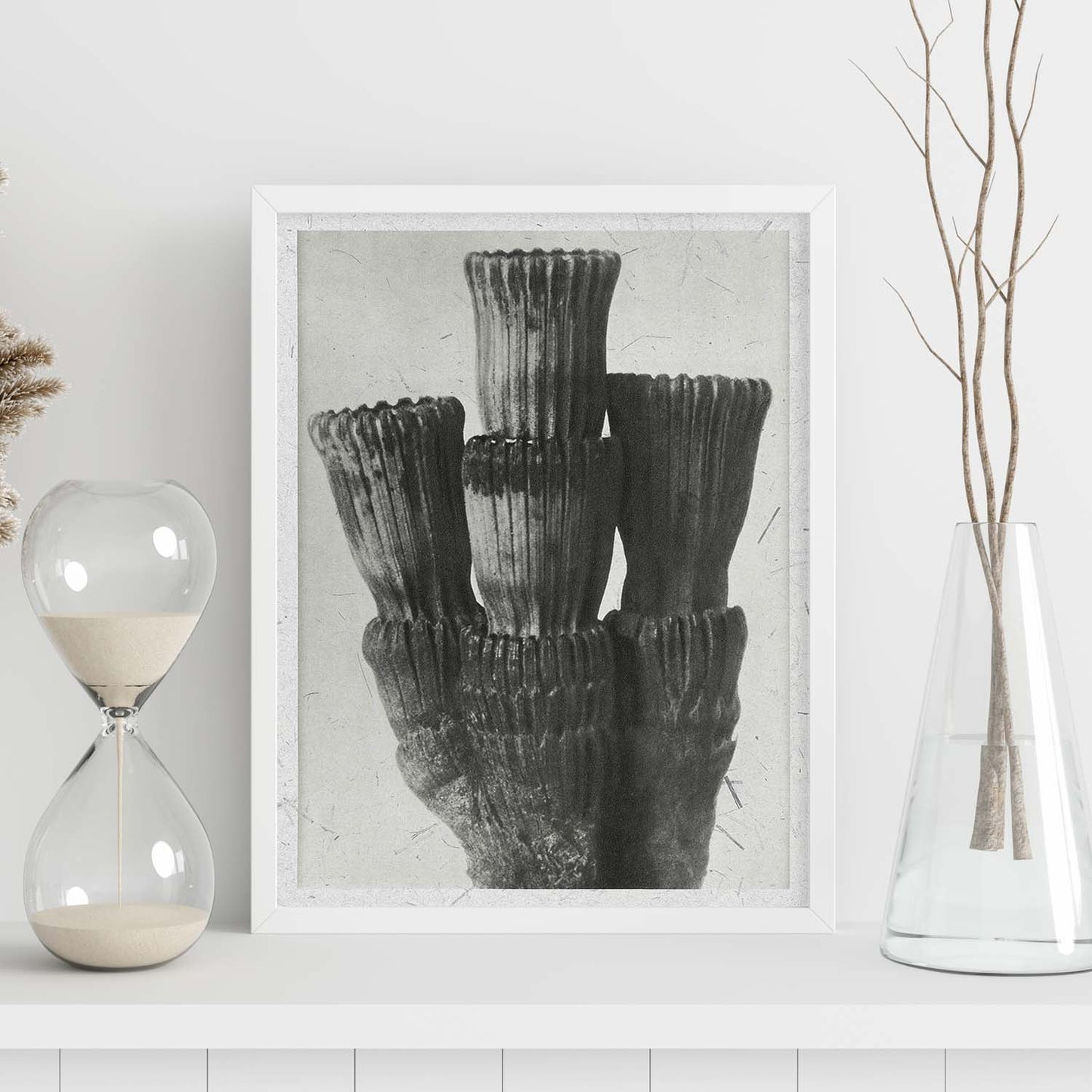 Lámina Planta blanco y negro 66. Pósters con ilustraciones de flores y plantas en tonos grises.-Artwork-Nacnic-Nacnic Estudio SL