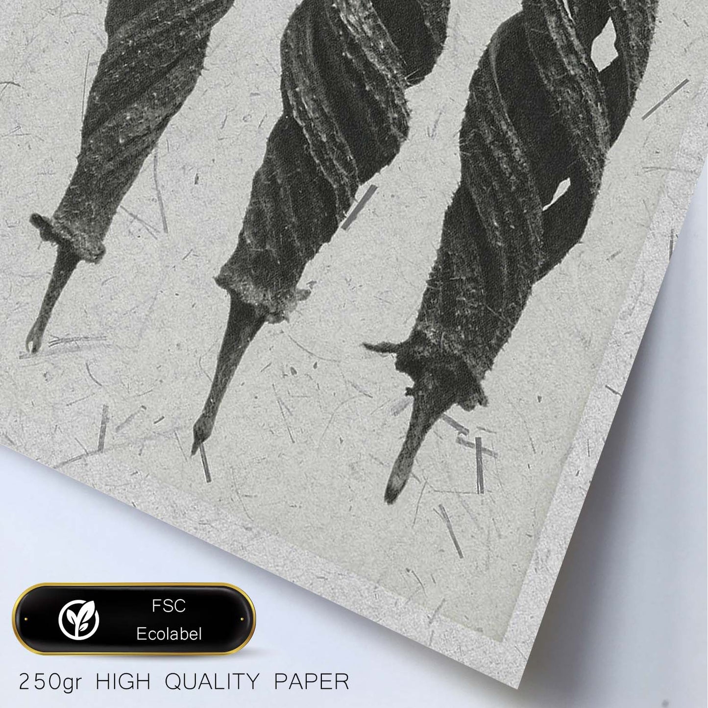 Lámina Planta blanco y negro 67. Pósters con ilustraciones de flores y plantas en tonos grises.-Artwork-Nacnic-Nacnic Estudio SL