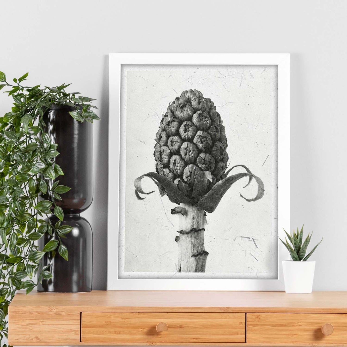 Lámina Planta blanco y negro 68. Pósters con ilustraciones de flores y plantas en tonos grises.-Artwork-Nacnic-Nacnic Estudio SL
