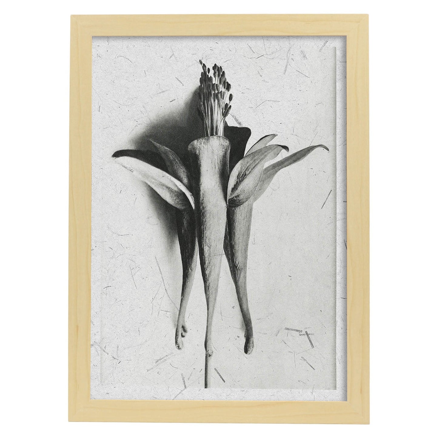 Lámina Planta blanco y negro 69. Pósters con ilustraciones de flores y plantas en tonos grises.-Artwork-Nacnic-A3-Marco Madera clara-Nacnic Estudio SL