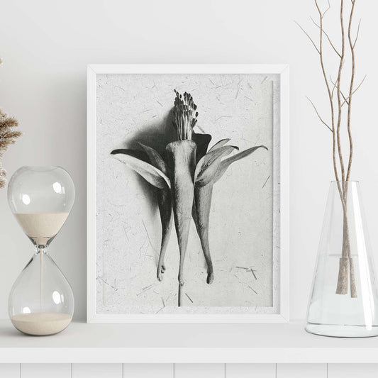 Lámina Planta blanco y negro 69. Pósters con ilustraciones de flores y plantas en tonos grises.-Artwork-Nacnic-Nacnic Estudio SL