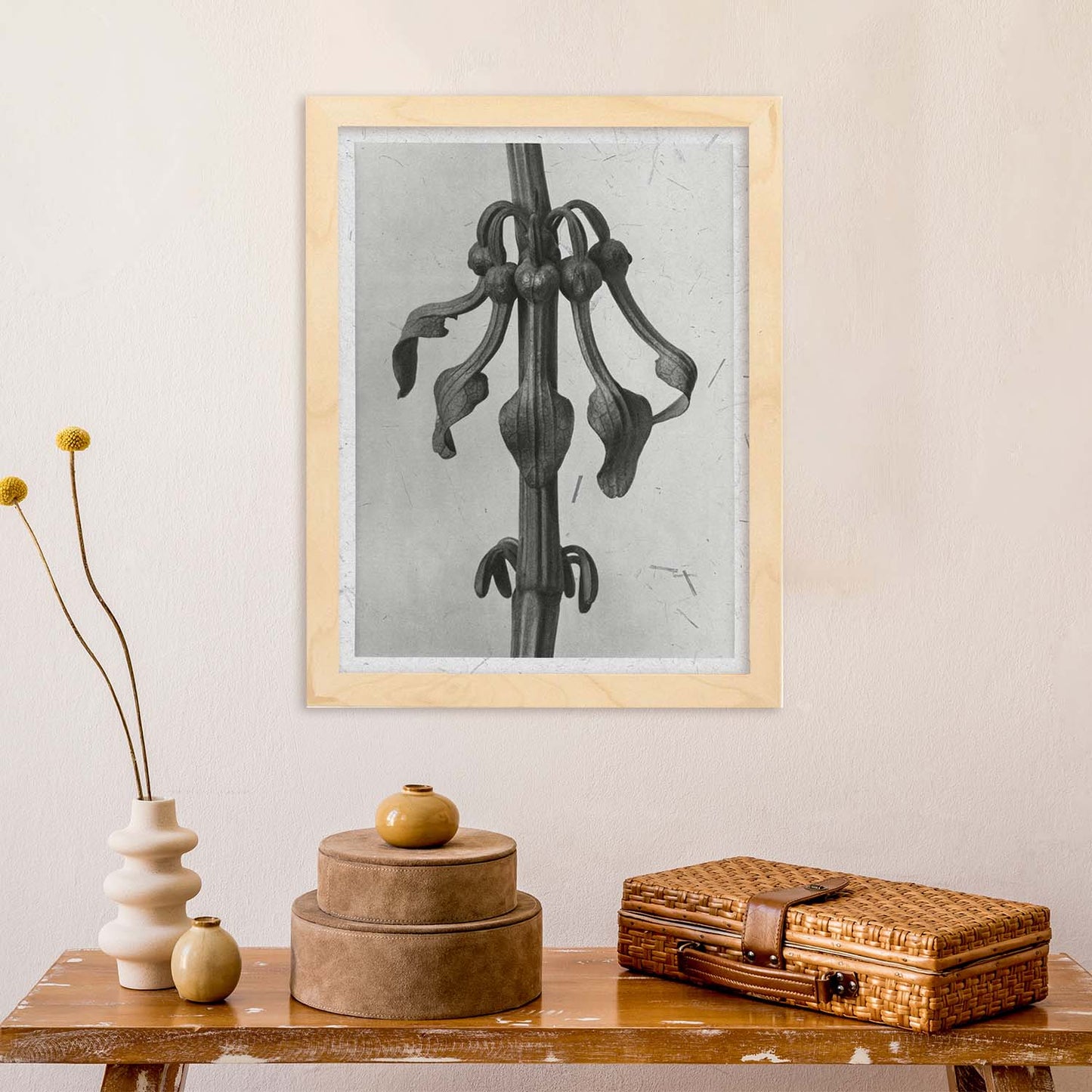Lámina Planta blanco y negro 70. Pósters con ilustraciones de flores y plantas en tonos grises.-Artwork-Nacnic-Nacnic Estudio SL