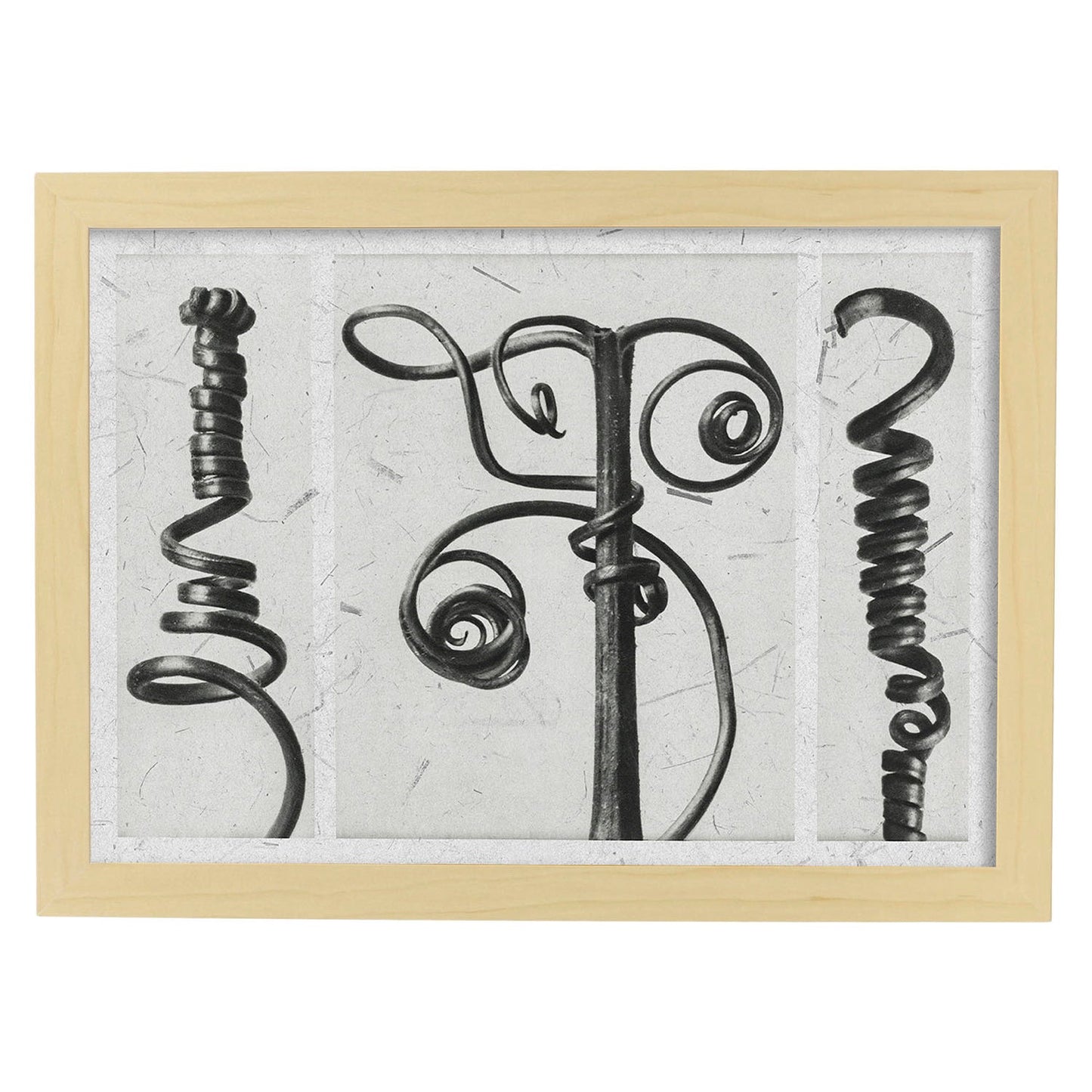 Lámina Planta blanco y negro 80. Pósters con ilustraciones de flores y plantas en tonos grises.-Artwork-Nacnic-A3-Marco Madera clara-Nacnic Estudio SL