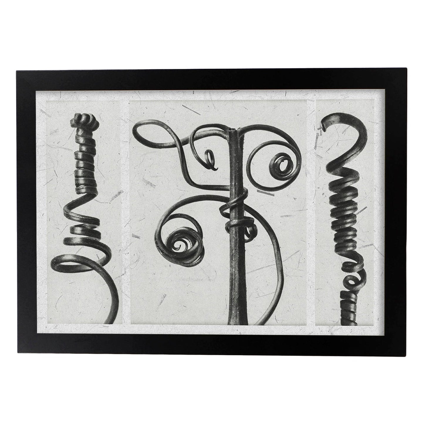 Lámina Planta blanco y negro 80. Pósters con ilustraciones de flores y plantas en tonos grises.-Artwork-Nacnic-A3-Marco Negro-Nacnic Estudio SL