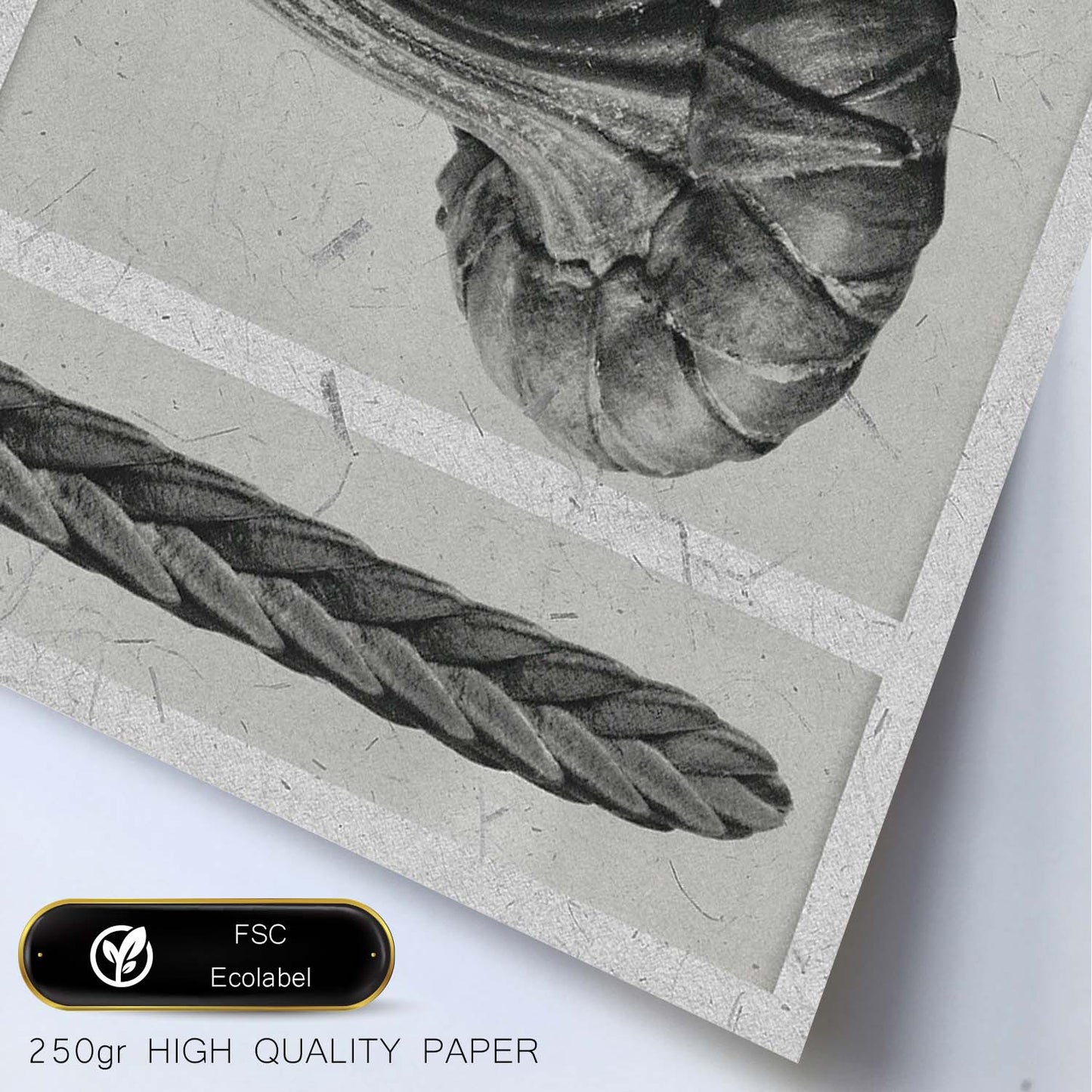 Lámina Planta blanco y negro 92. Pósters con ilustraciones de flores y plantas en tonos grises.-Artwork-Nacnic-Nacnic Estudio SL