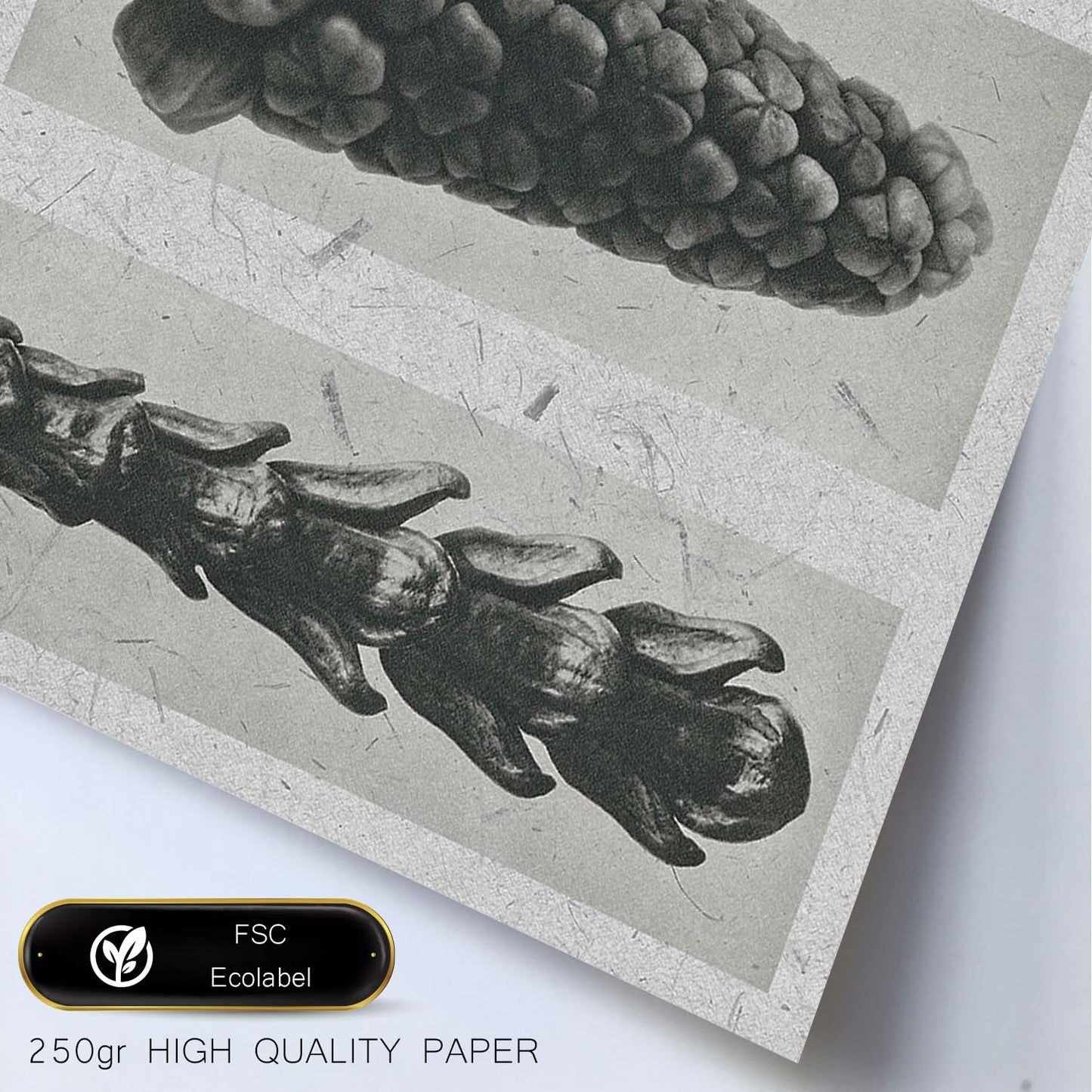 Lámina Planta blanco y negro 93. Pósters con ilustraciones de flores y plantas en tonos grises.-Artwork-Nacnic-Nacnic Estudio SL