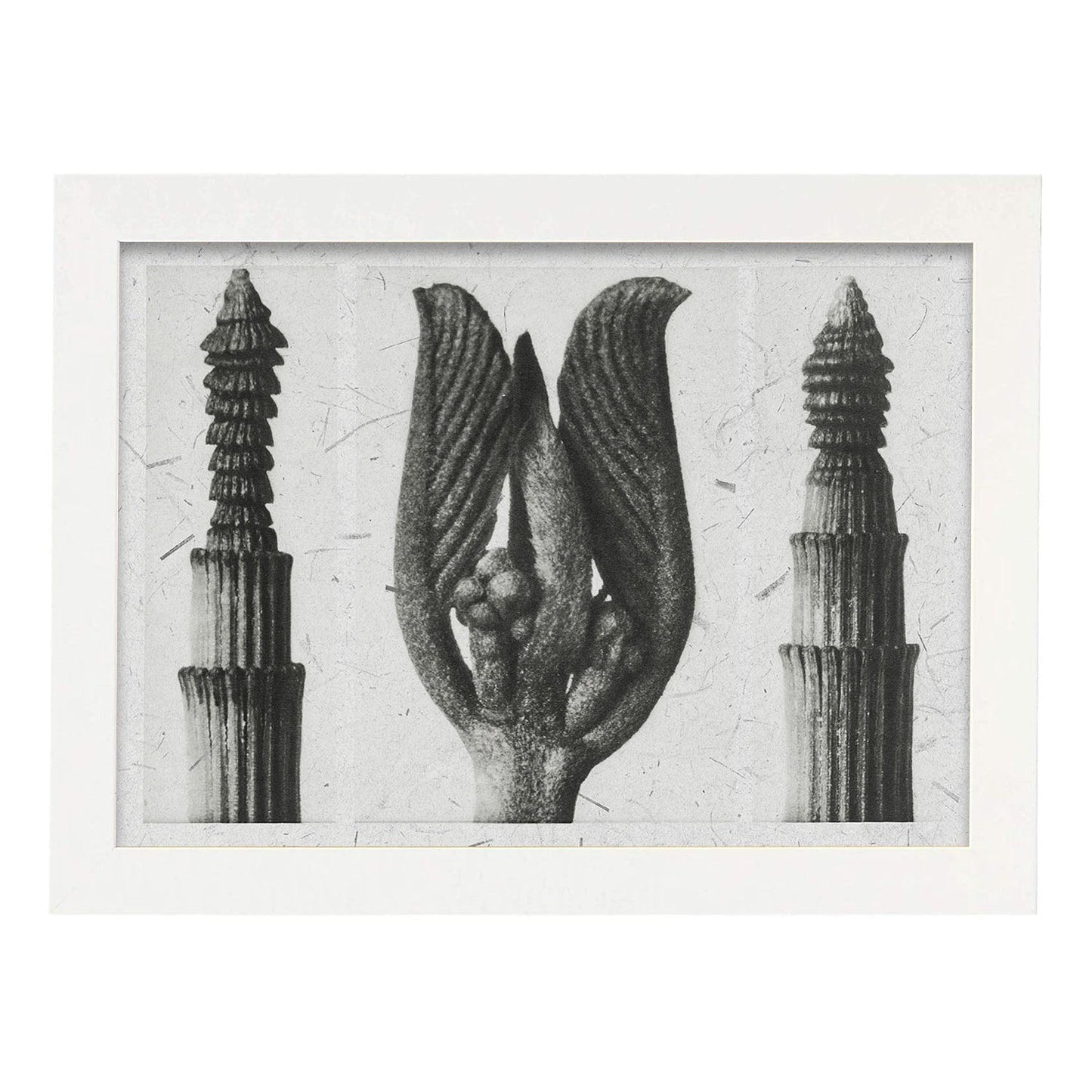Lámina Planta blanco y negro 94. Pósters con ilustraciones de flores y plantas en tonos grises.-Artwork-Nacnic-A3-Marco Blanco-Nacnic Estudio SL