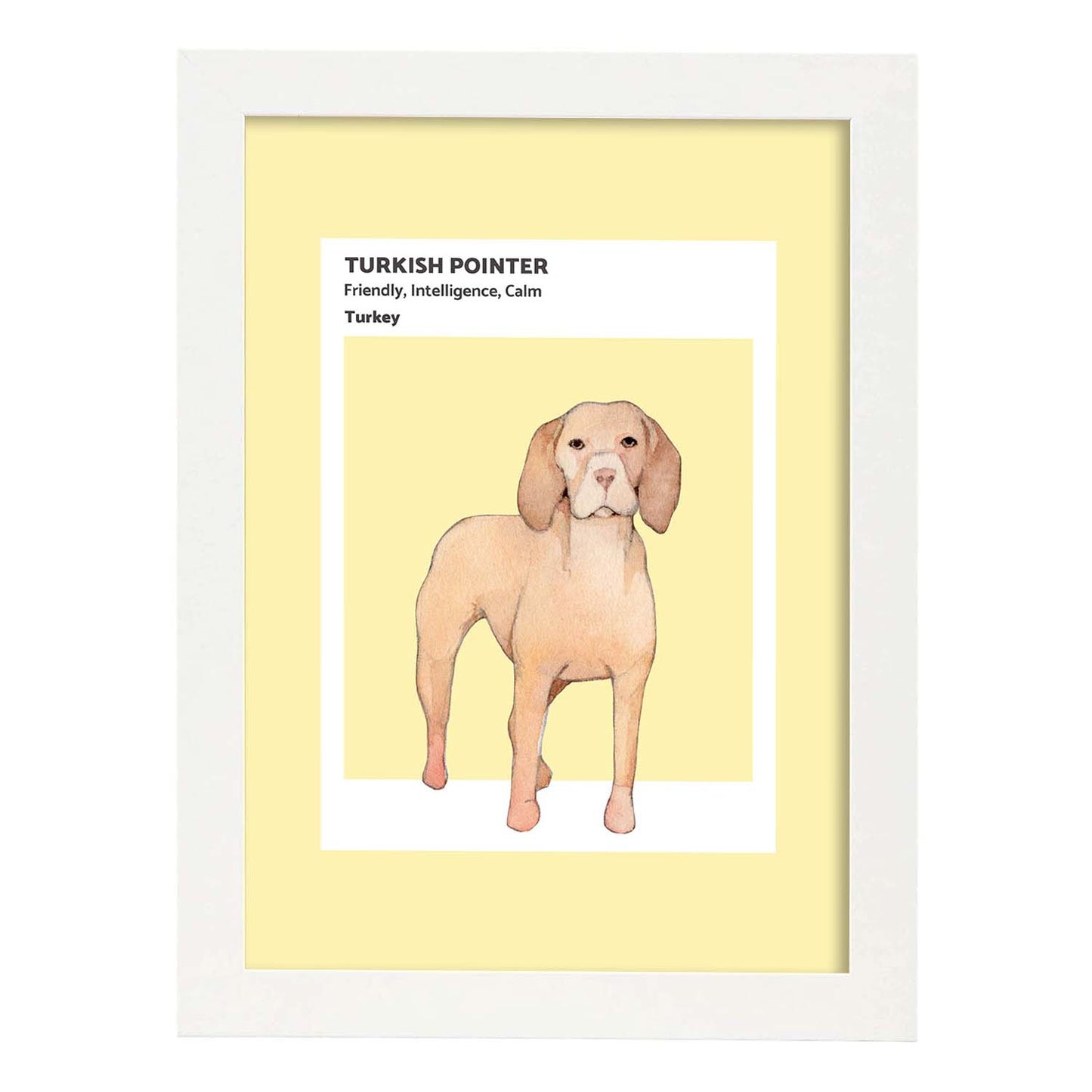 Lámina Pointer turco. Pósters con ilustraciones de razas de perro en tonos cálidos y pastel.-Artwork-Nacnic-A3-Marco Blanco-Nacnic Estudio SL
