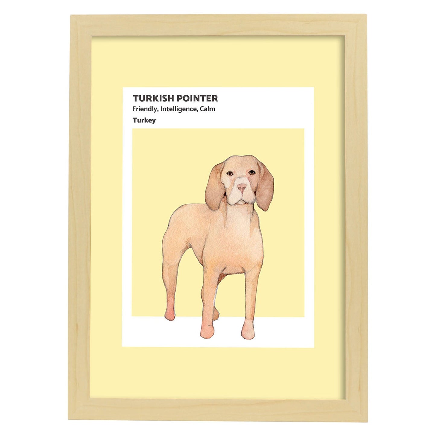 Lámina Pointer turco. Pósters con ilustraciones de razas de perro en tonos cálidos y pastel.-Artwork-Nacnic-A3-Marco Madera clara-Nacnic Estudio SL