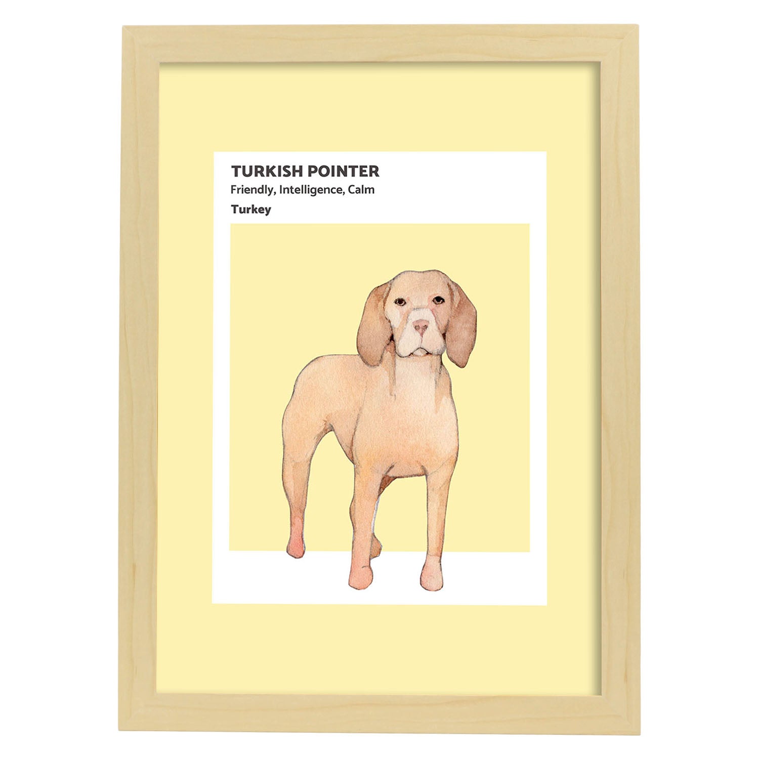 Lámina Pointer turco. Pósters con ilustraciones de razas de perro en tonos cálidos y pastel.-Artwork-Nacnic-A4-Marco Madera clara-Nacnic Estudio SL