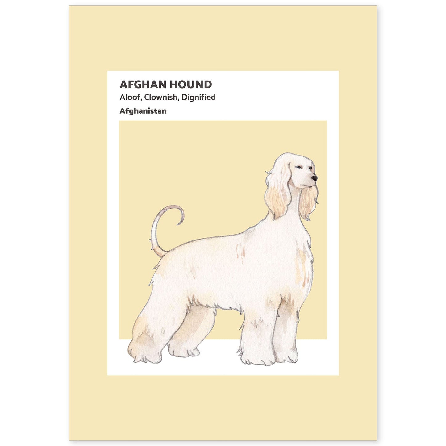 Lámina Sabueso afgano. Pósters con ilustraciones de razas de perro en tonos cálidos y pastel.-Artwork-Nacnic-A4-Sin marco-Nacnic Estudio SL