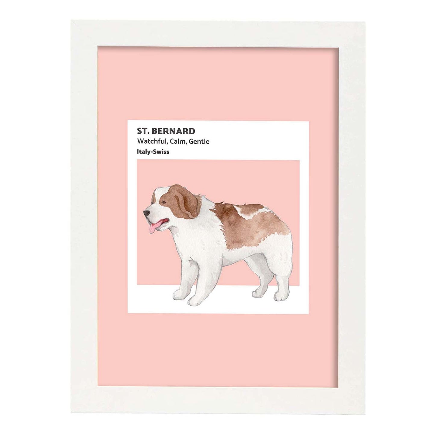 Lámina San Bernardo. Pósters con ilustraciones de razas de perro en tonos cálidos y pastel.-Artwork-Nacnic-A3-Marco Blanco-Nacnic Estudio SL