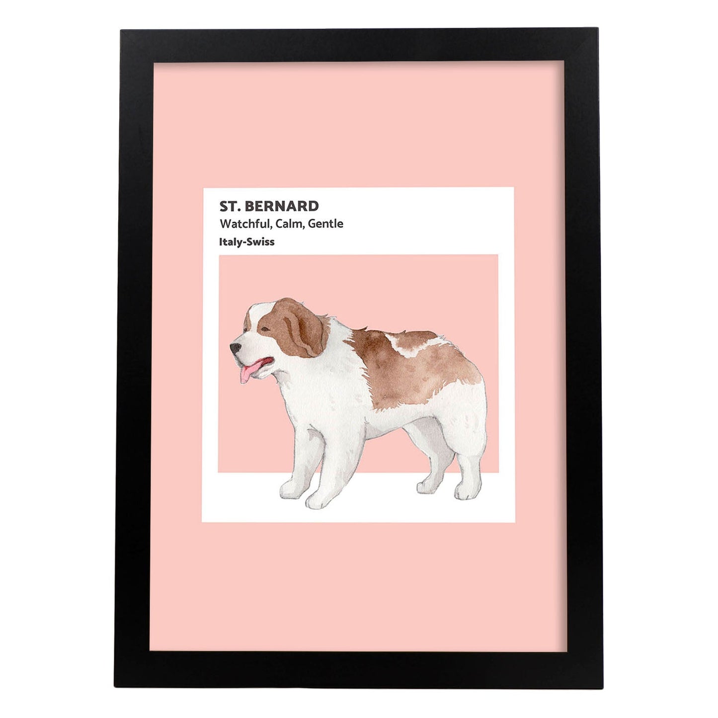 Lámina San Bernardo. Pósters con ilustraciones de razas de perro en tonos cálidos y pastel.-Artwork-Nacnic-A4-Marco Negro-Nacnic Estudio SL