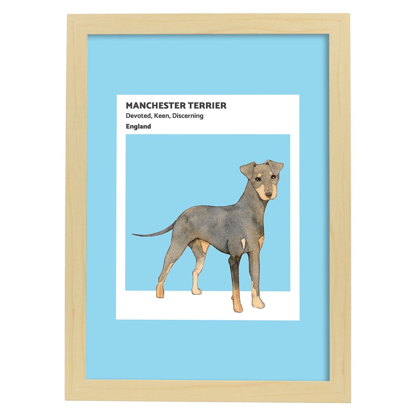 Lámina Terrier de Manchester. Pósters con ilustraciones de razas de perro en tonos cálidos y pastel.-Artwork-Nacnic-A4-Marco Madera clara-Nacnic Estudio SL