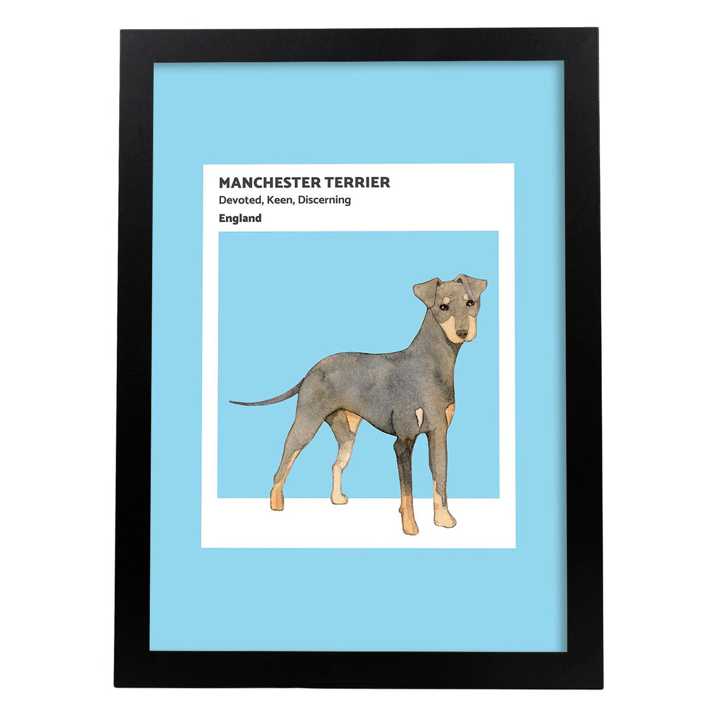 Lámina Terrier de Manchester. Pósters con ilustraciones de razas de perro en tonos cálidos y pastel.-Artwork-Nacnic-A4-Marco Negro-Nacnic Estudio SL