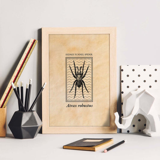 Lámina Vintage Araña. Pósters de insectos en estilo grabado y tonos sepia.-Artwork-Nacnic-Nacnic Estudio SL