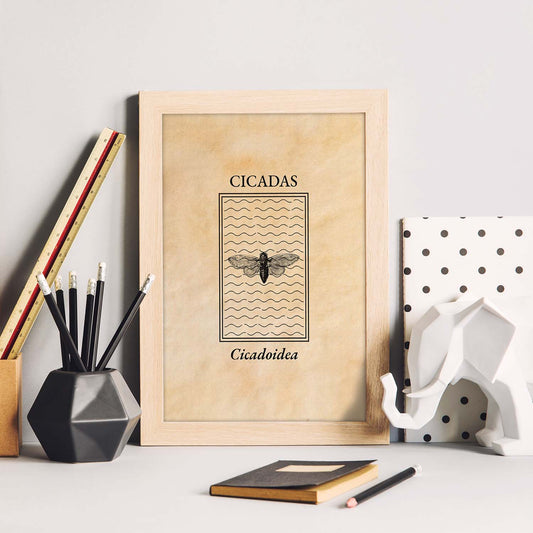 Lámina Vintage Cicada. Pósters de insectos en estilo grabado y tonos sepia.-Artwork-Nacnic-Nacnic Estudio SL