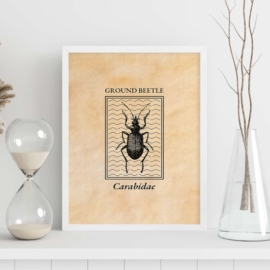 Lámina Vintage Escarabajo terrestre. Pósters de insectos en estilo grabado y tonos sepia.-Artwork-Nacnic-Nacnic Estudio SL