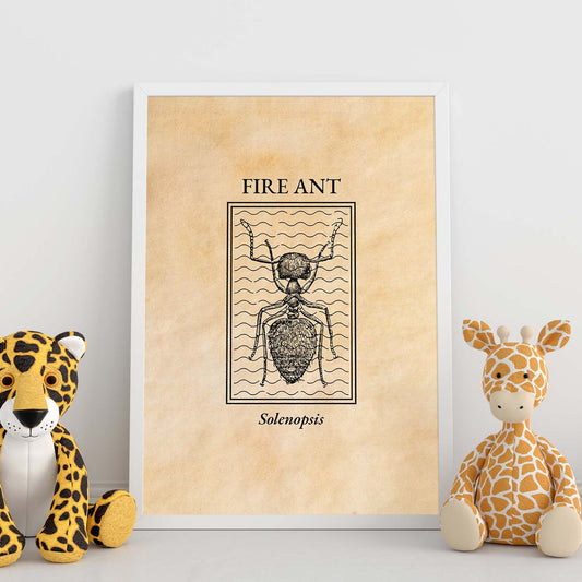 Lámina Vintage Hormiga. Pósters de insectos en estilo grabado y tonos sepia.-Artwork-Nacnic-Nacnic Estudio SL