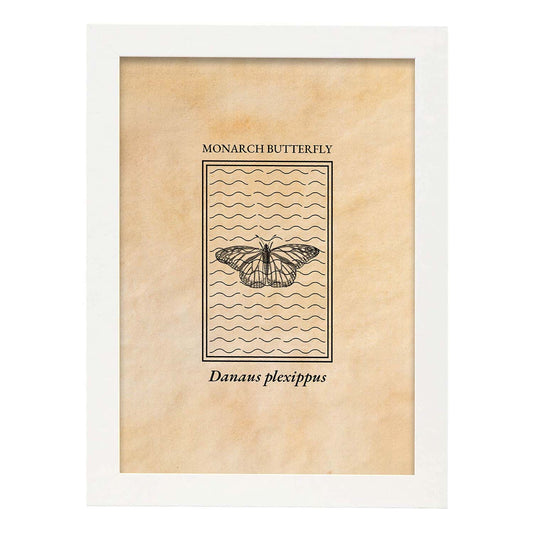 Lámina Vintage Mariposa reina. Pósters de insectos en estilo grabado y tonos sepia.-Artwork-Nacnic-A4-Marco Blanco-Nacnic Estudio SL