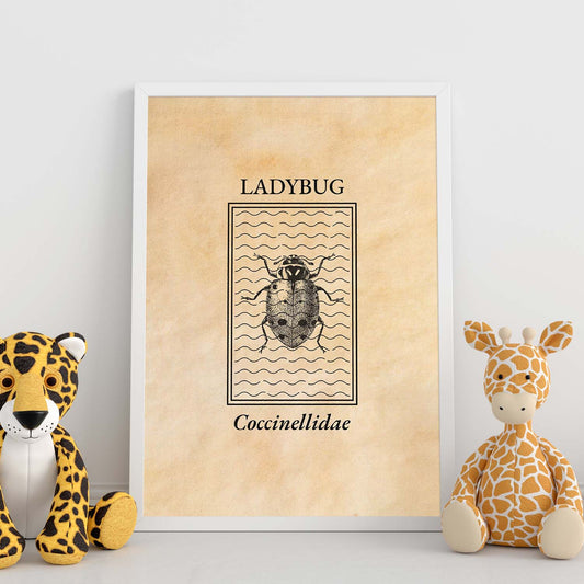Lámina Vintage Mariquita. Pósters de insectos en estilo grabado y tonos sepia.-Artwork-Nacnic-Nacnic Estudio SL