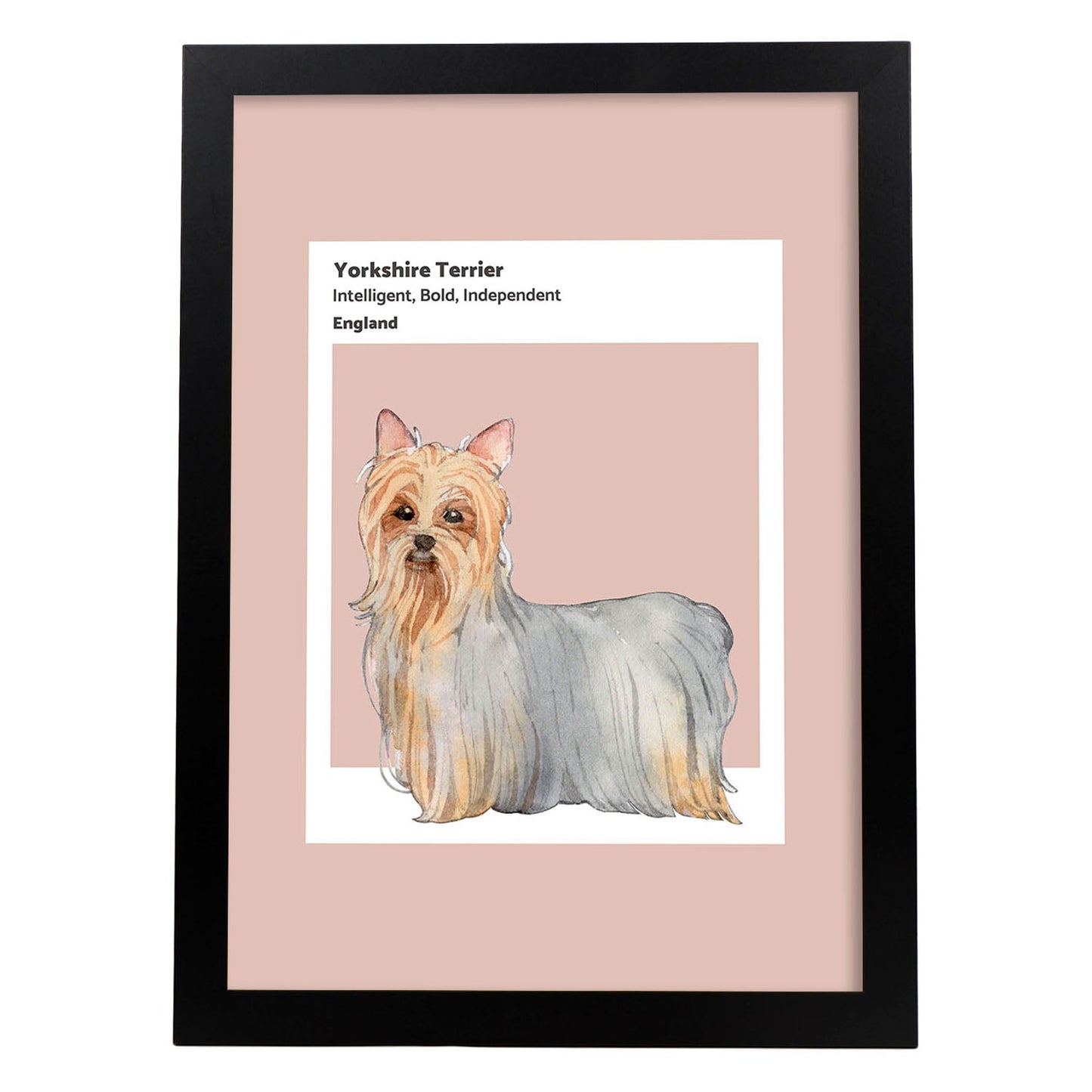 Lámina Yorkshire-terrier. Pósters con ilustraciones de razas de perro en tonos cálidos y pastel.-Artwork-Nacnic-A3-Marco Negro-Nacnic Estudio SL