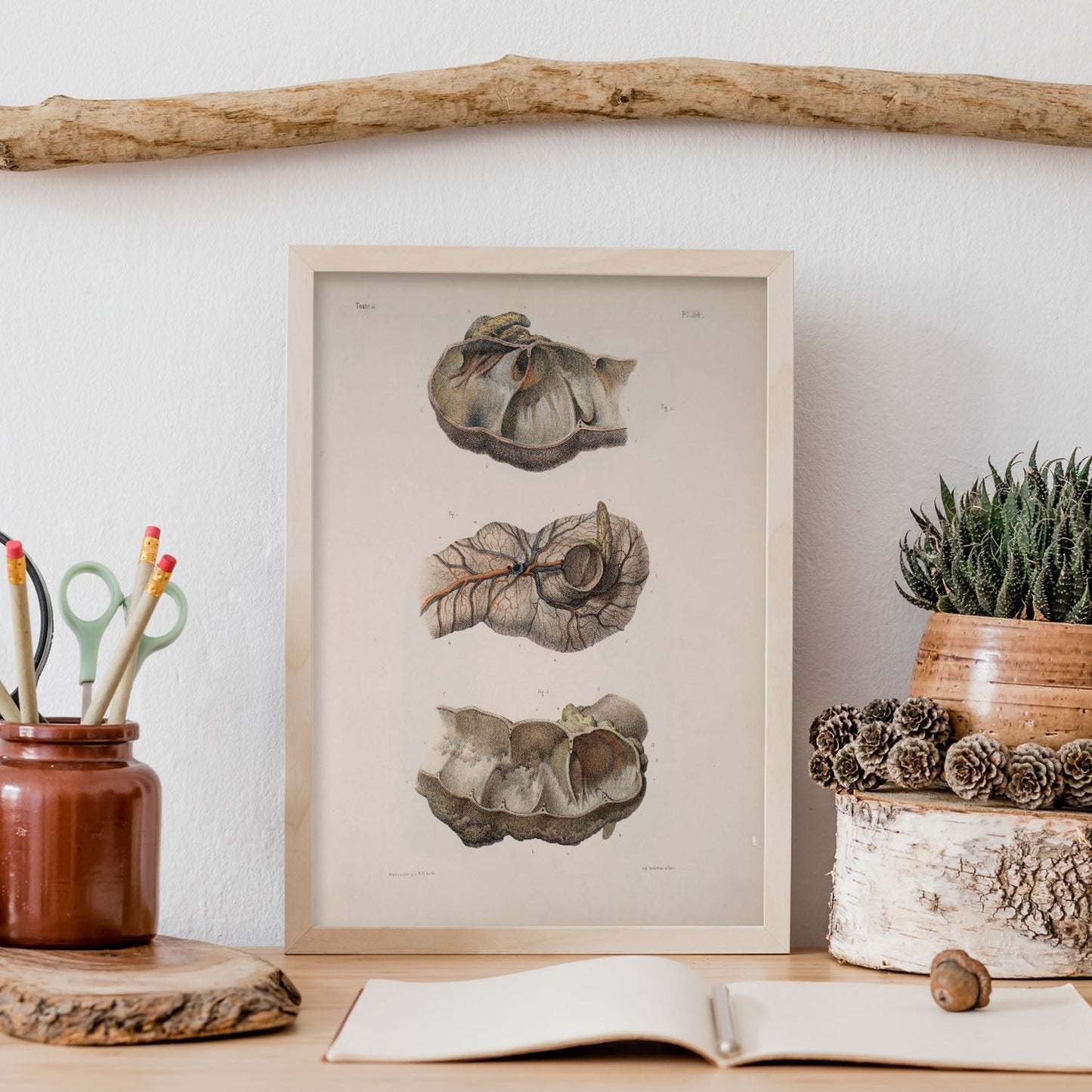 Large intestine; cecum and appendix-Artwork-Nacnic-Nacnic Estudio SL