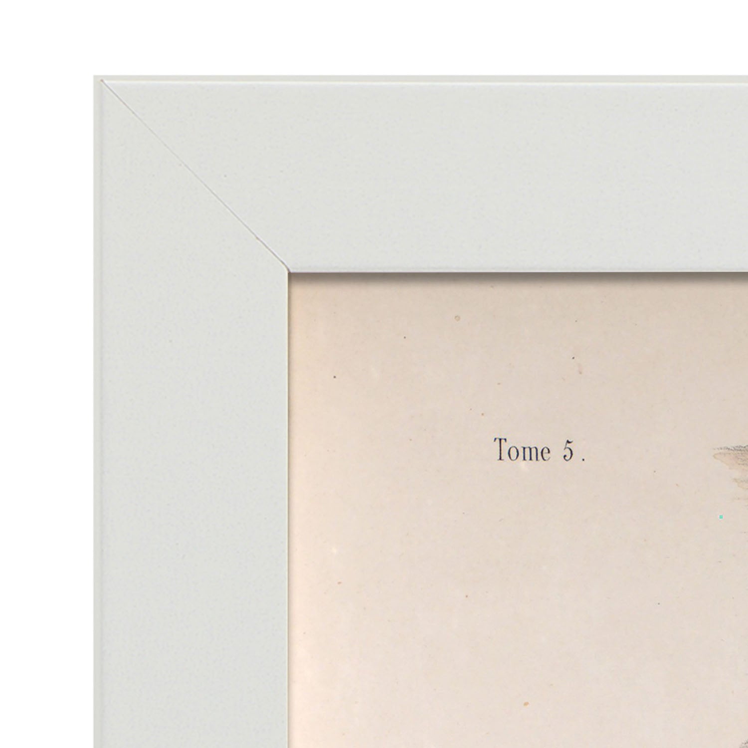 Large intestine, rectum and anus-Artwork-Nacnic-Nacnic Estudio SL