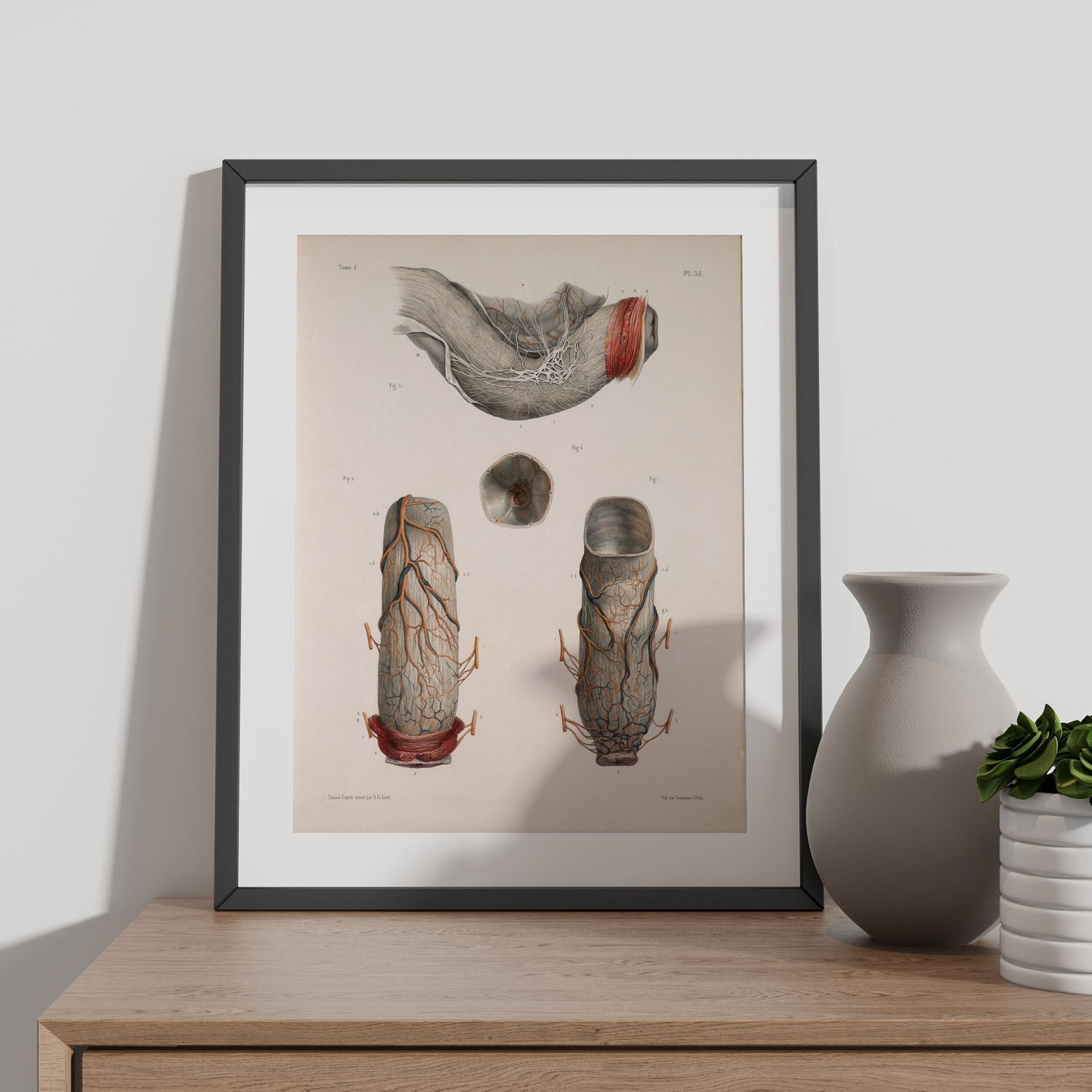 Large intestine, rectum and anus-Artwork-Nacnic-Nacnic Estudio SL