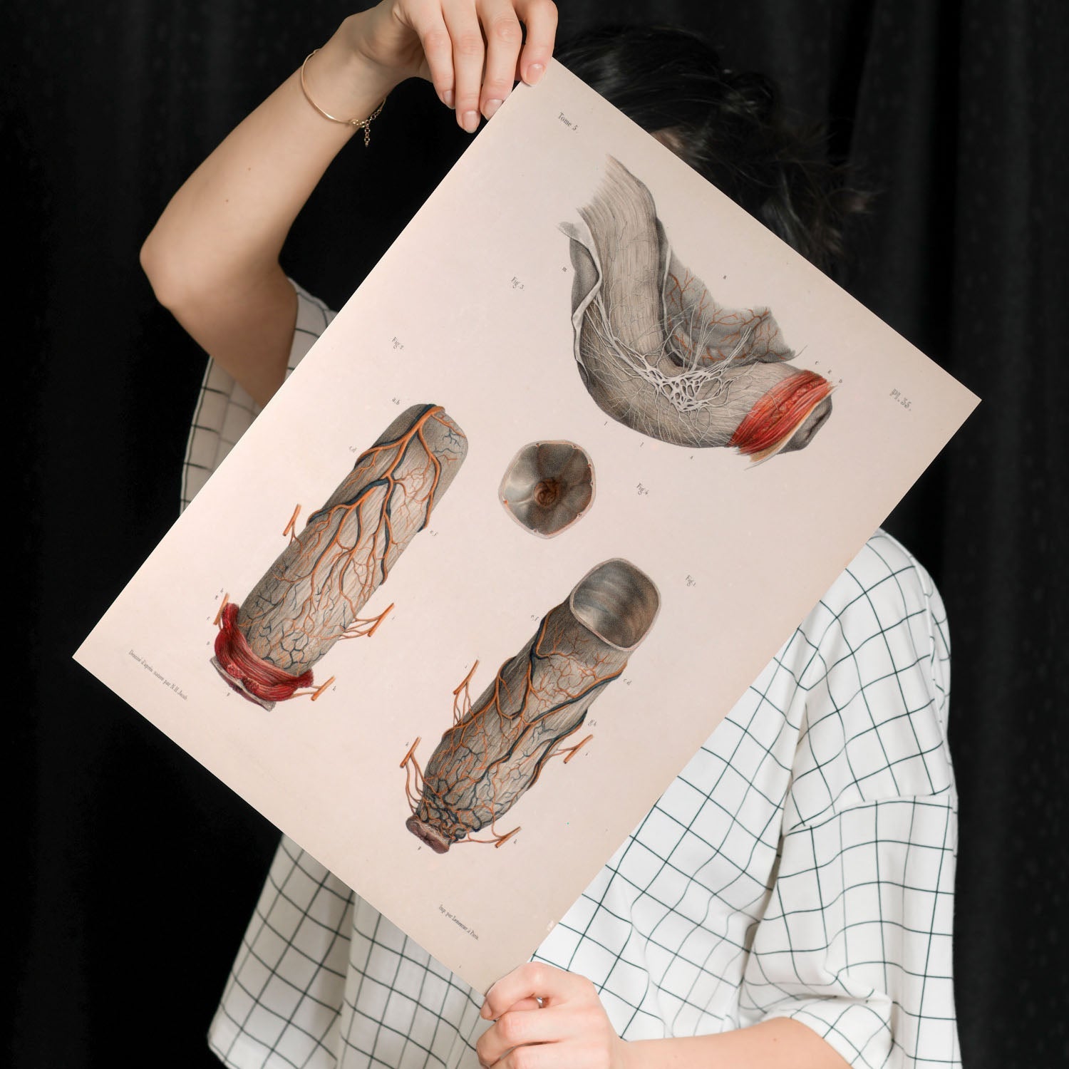 Large intestine, rectum and anus-Artwork-Nacnic-Nacnic Estudio SL