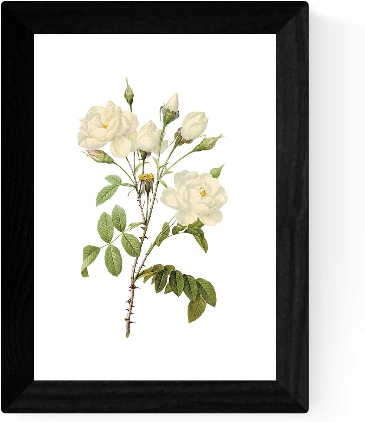 Lot de 4 feuilles à encadrer style botanique - Set Soft White au format A4 imprimé sur papier 250 g et encres fond papier Sepia.-Artwork-Nacnic-Nacnic Estudio SL