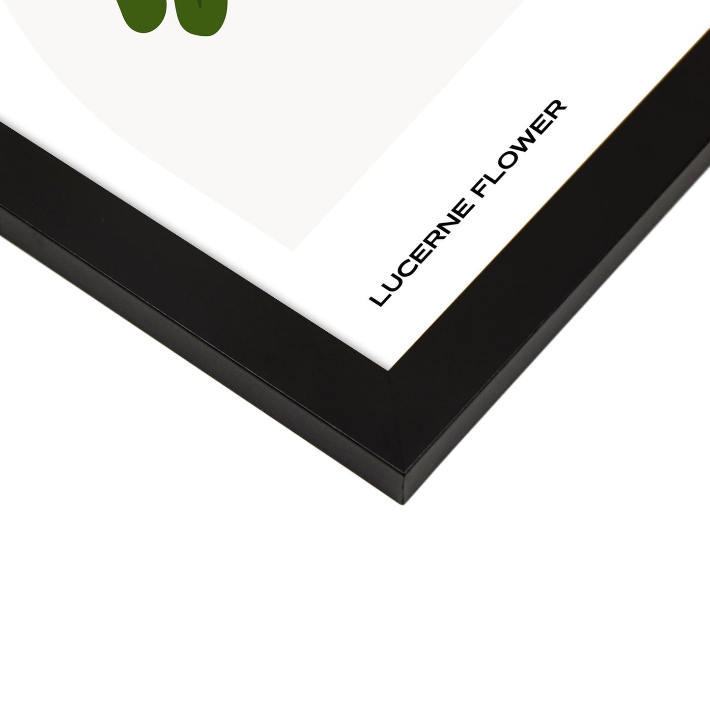 Lucerne Flower-Artwork-Nacnic-Nacnic Estudio SL