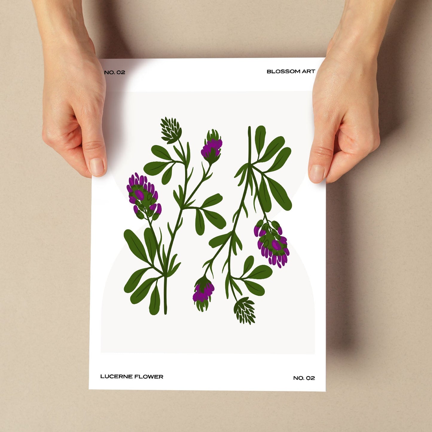 Lucerne Flower-Artwork-Nacnic-Nacnic Estudio SL