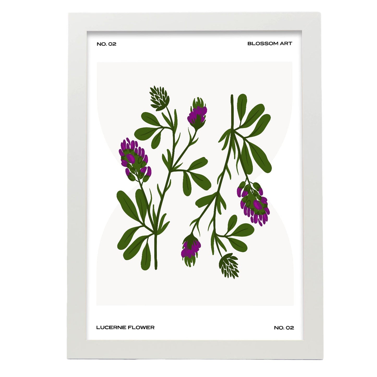 Lucerne Flower-Artwork-Nacnic-A3-Marco Blanco-Nacnic Estudio SL