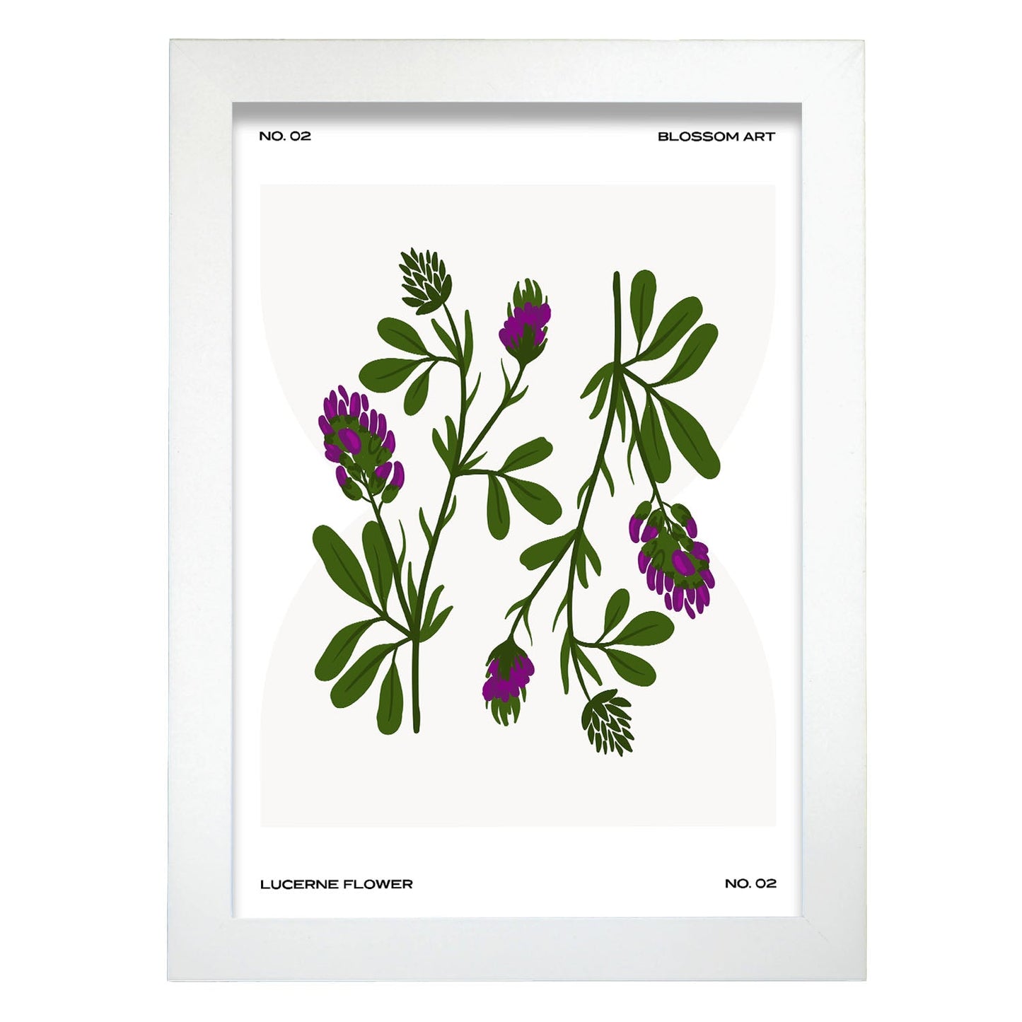 Lucerne Flower-Artwork-Nacnic-A4-Marco Blanco-Nacnic Estudio SL
