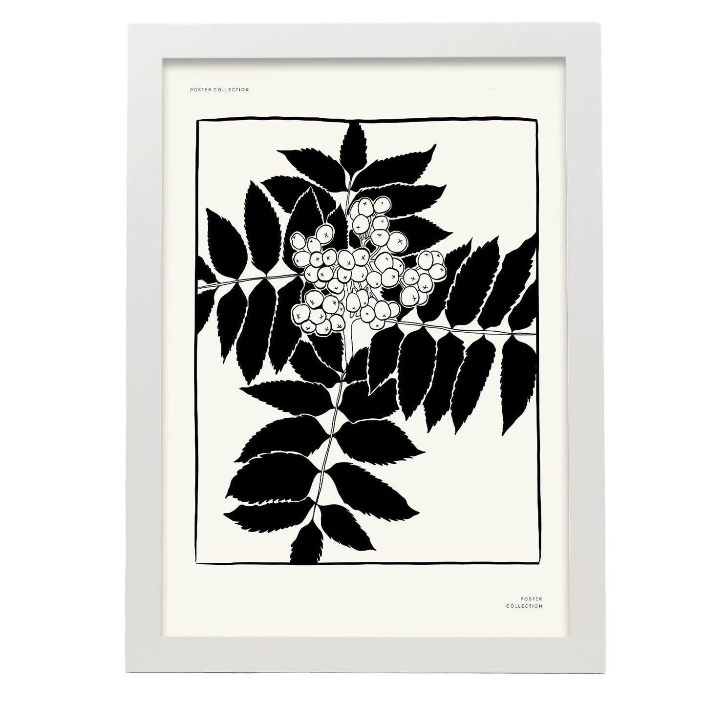 Mistletoe-Artwork-Nacnic-A3-Marco Blanco-Nacnic Estudio SL