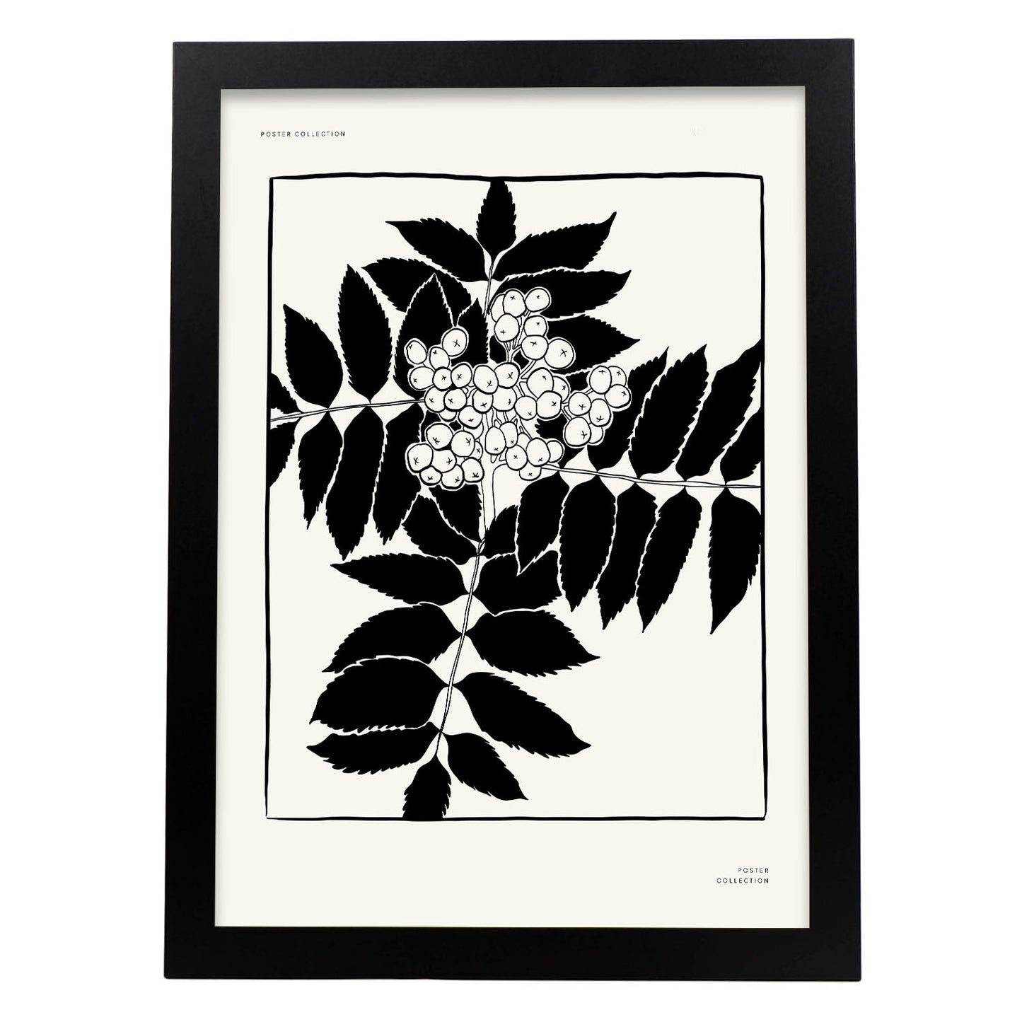 Mistletoe-Artwork-Nacnic-A3-Sin marco-Nacnic Estudio SL