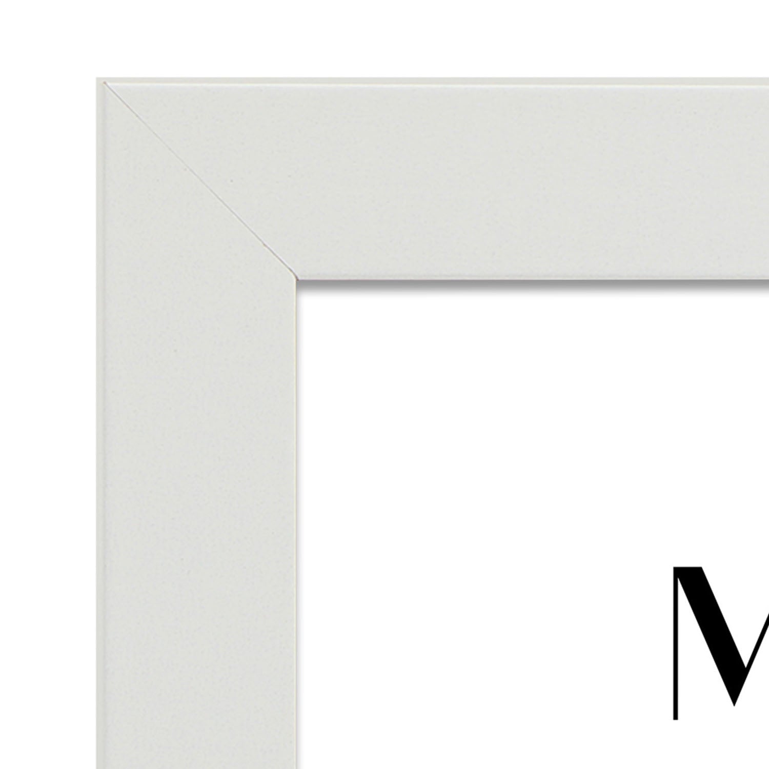 mutualism-Artwork-Nacnic-Nacnic Estudio SL