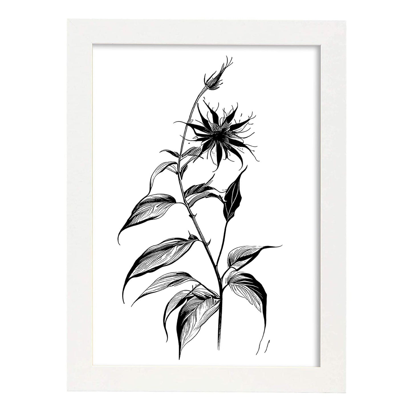 Nacnic Láminas de Arte Minimalista de Borraja
