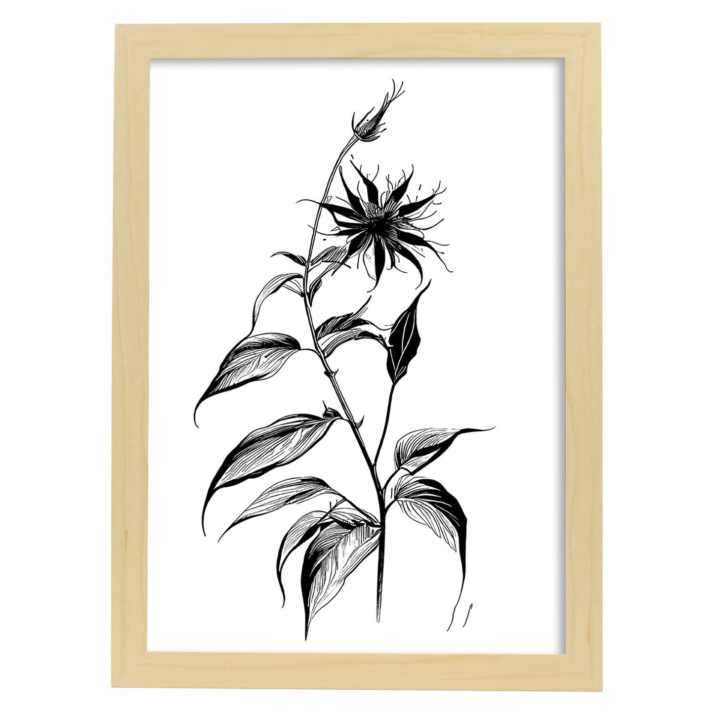Nacnic Láminas de Arte Minimalista de Borraja
