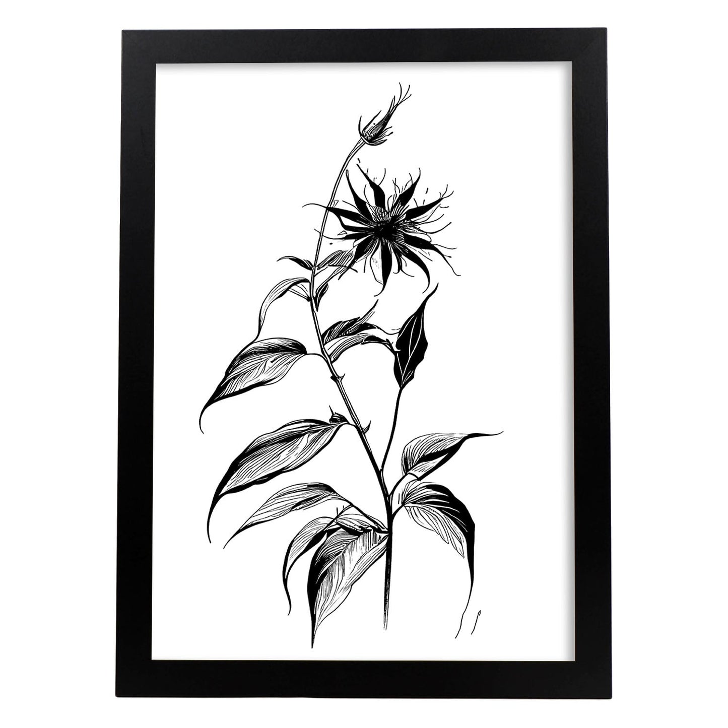 Nacnic Láminas de Arte Minimalista de Borraja