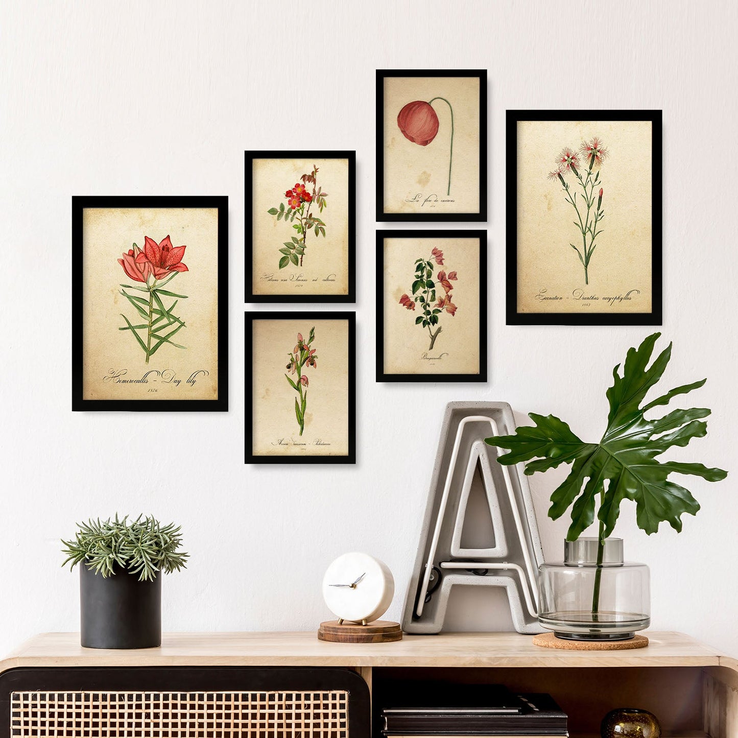 Set de 6 láminas botánicas vintage con ilustraciones de flores rojas en papel envejecido para decorar salón, pasillo o dormitorio clásico – 2 grandes y 4 medianos
