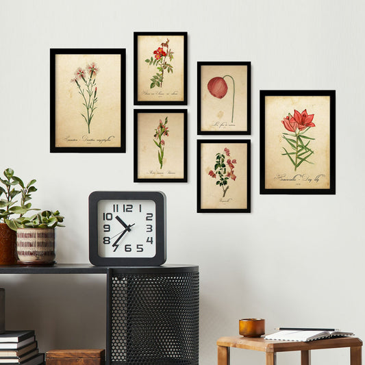 Set de 6 láminas botánicas vintage con ilustraciones de flores rojas en papel envejecido para decorar salón, pasillo o dormitorio clásico – 2 grandes y 4 medianos