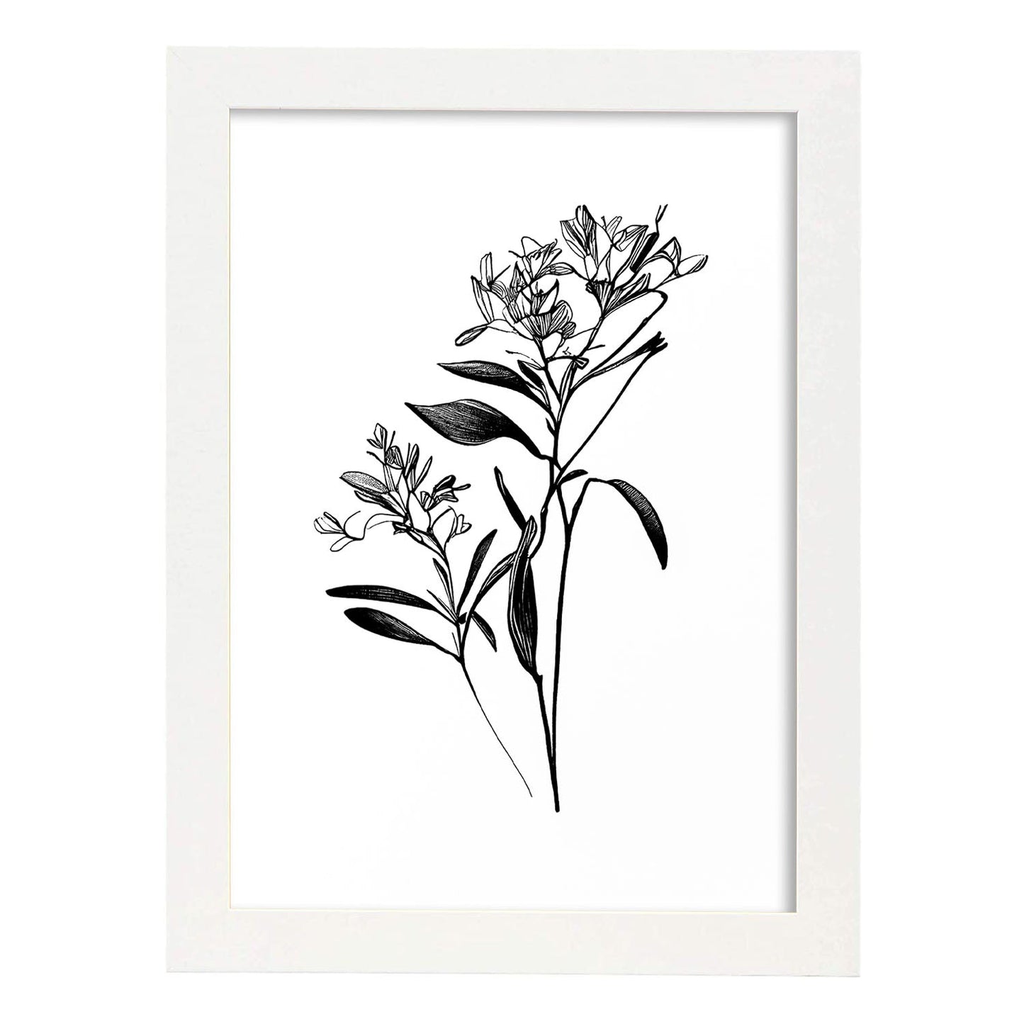 Nacnic Laminas de Arte Minimalista Bouvardia
