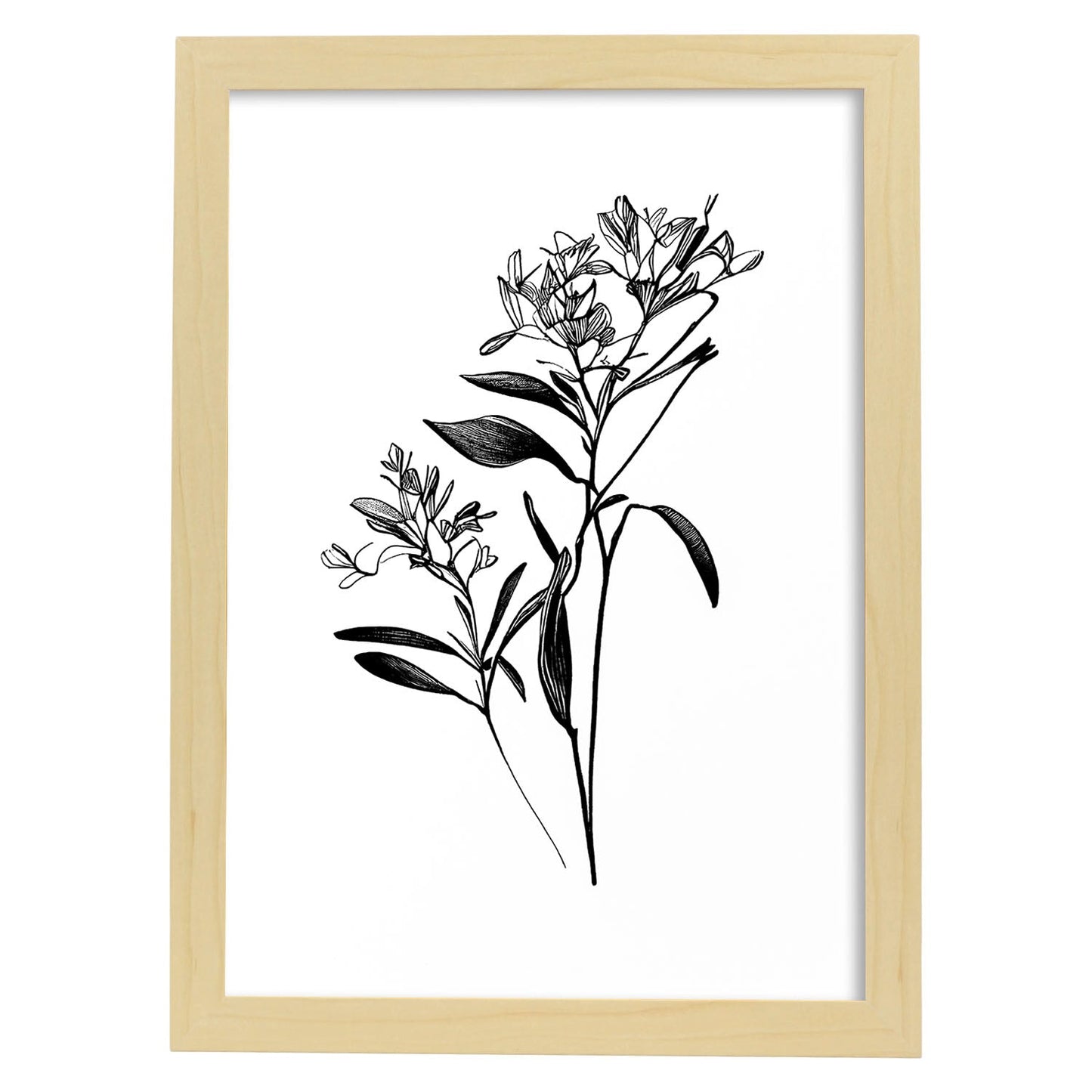 Nacnic Laminas de Arte Minimalista Bouvardia