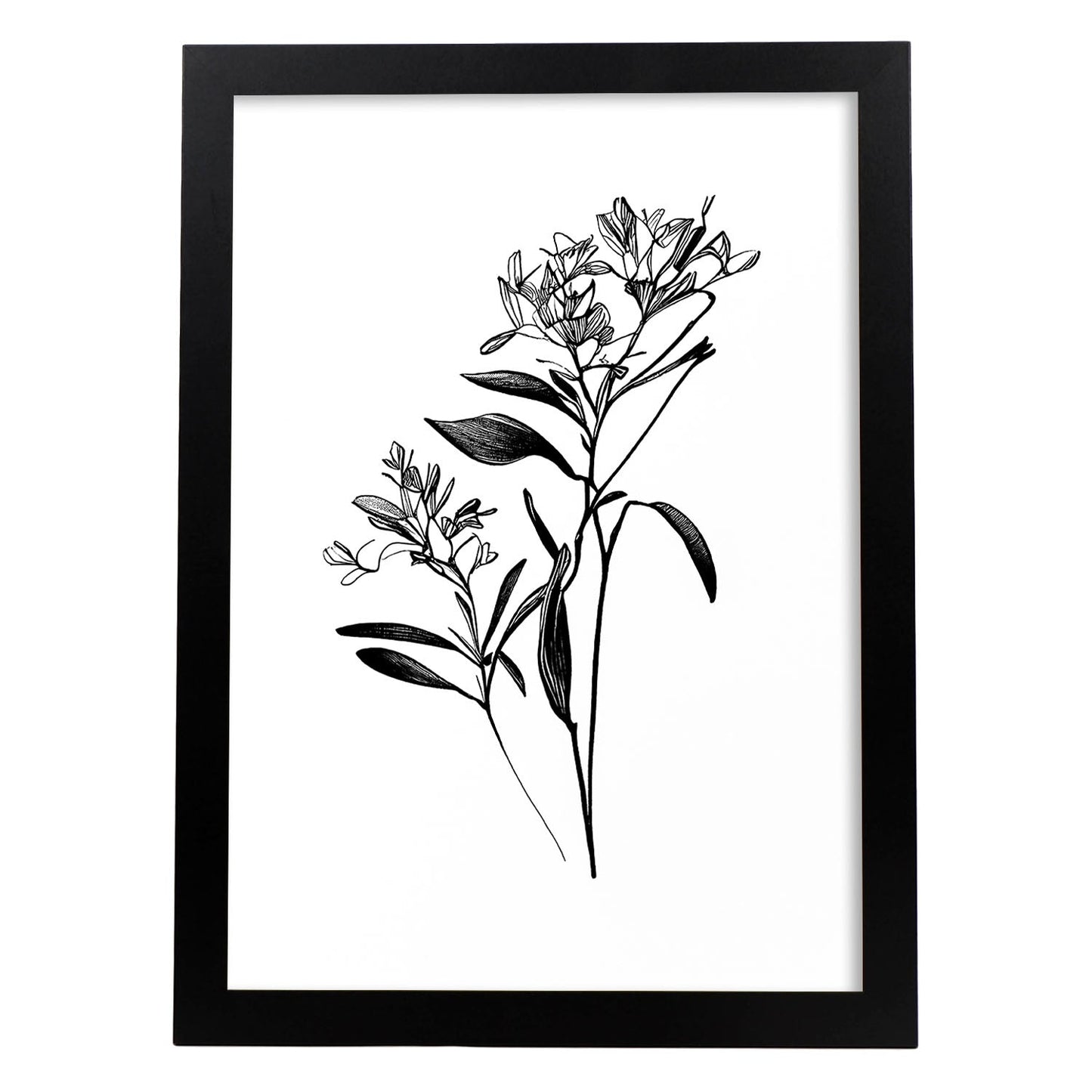 Nacnic Laminas de Arte Minimalista Bouvardia