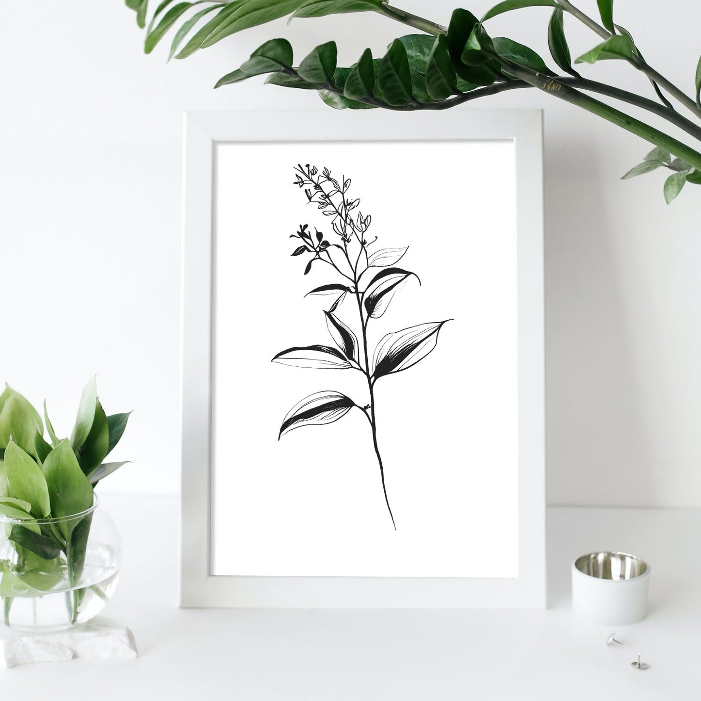 Lámina Nacnic Bouvardia Arte Minimalista Lineal_2