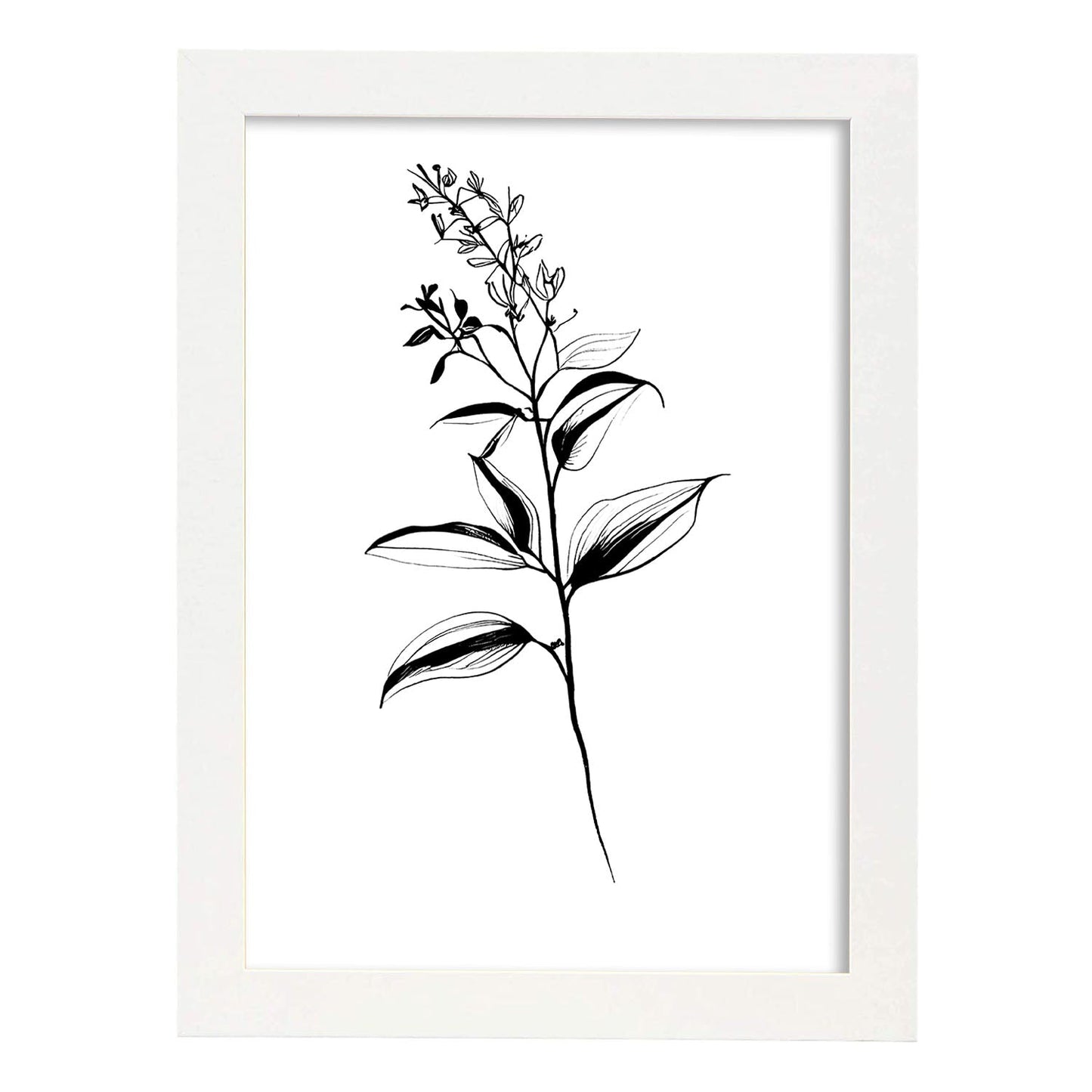 Lámina Nacnic Bouvardia Arte Minimalista Lineal_2
