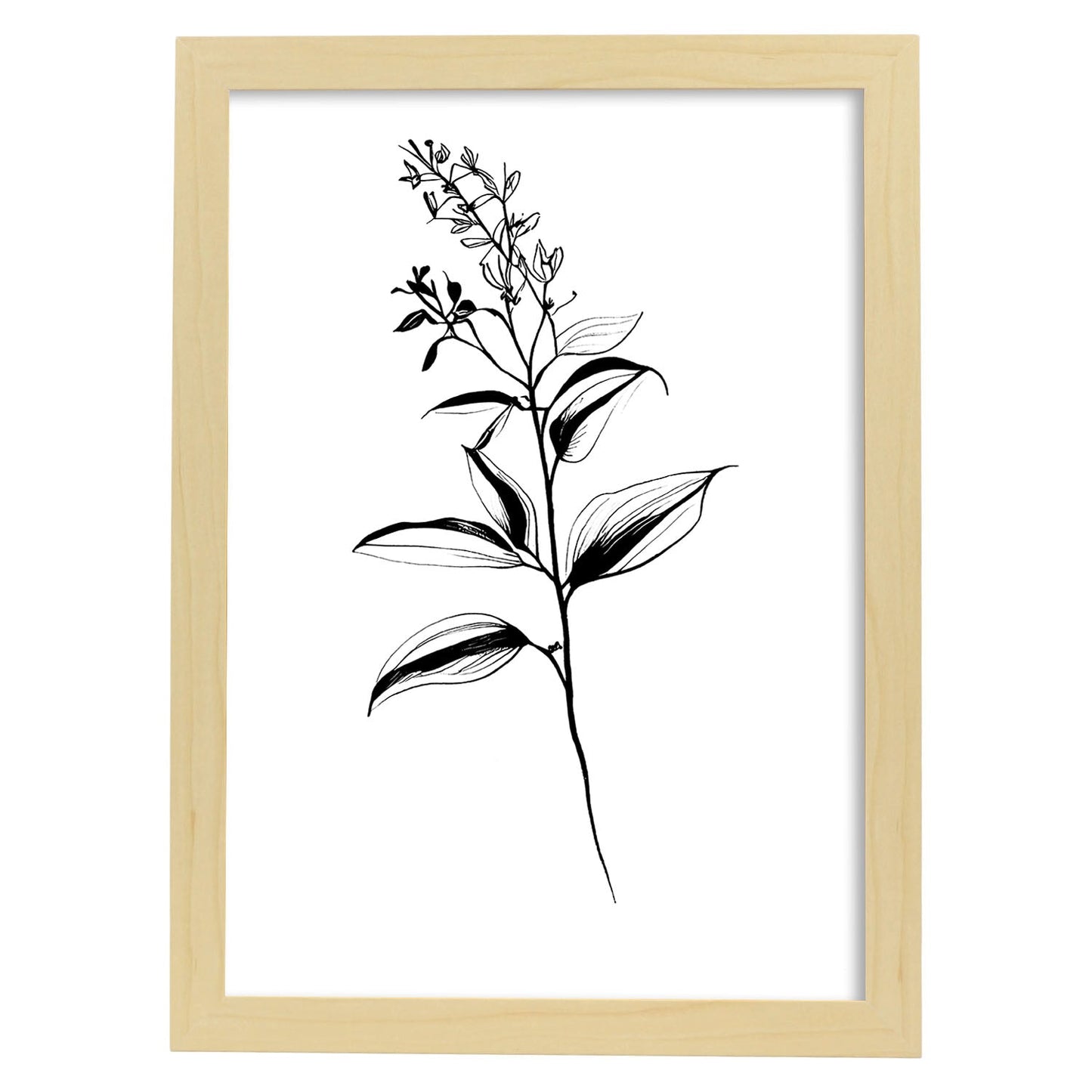 Lámina Nacnic Bouvardia Arte Minimalista Lineal_2