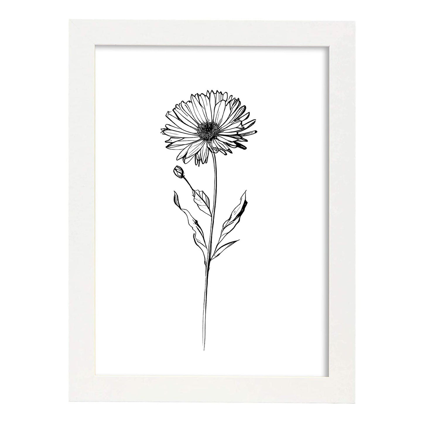 Lámina Nacnic Calendula Arte Minimalista Lineal_2